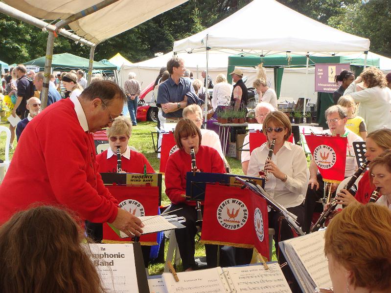 Chipstead 2008 010.jpg